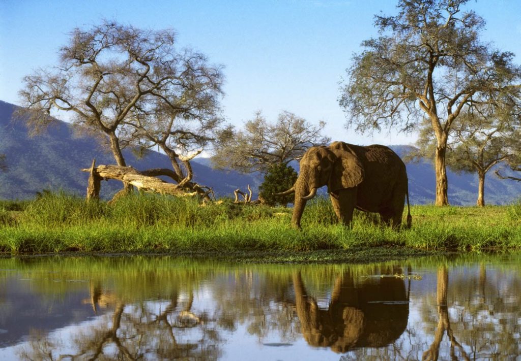 Mana Pools Zimbabwe Tourism