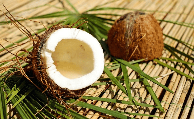 Coconuts can contribute over $400bn to Nigerian economy