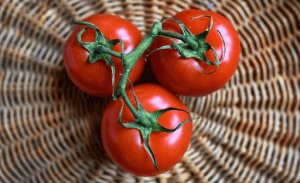 tomatoes ban in Nigeria