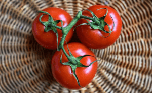 toxic tomatoes in kenya