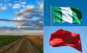 Nigeria Signs Deal With Morocco On Phosphate Import, Ammonia