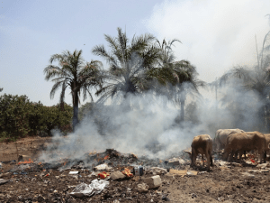 Open burning of waste discussed for the first time at COP26, as global engineering collaboration and partners call for an end to the practice; More than a million premature deaths a year due to air pollution, waste and open burning is one of the critical issues contributing to increasing levels of pollution especially in urban areas.