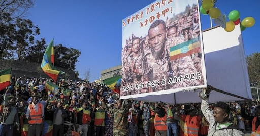 Tens of thousands of Ethiopians vowed to defend the capital from advancing rebels during a pro-military rally on Sunday where attendees dismissed diplomatic efforts to end the year-long war.