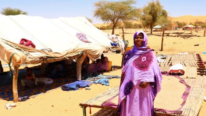 Market Trends / Consumer Behavior Shifts in Mauritania